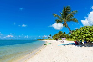 A beach with clear turquoise water, white sand, and palm trees. - Ocean Muse Lux Waterfront Escape Pool Dock (Marathon)