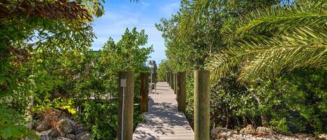 A wooden pathway flanked by greenery and rocks, leading to a distant view.