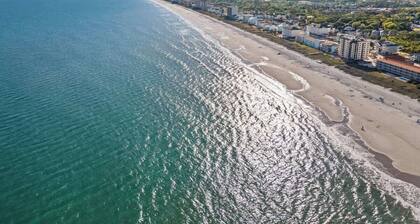 Sunny 1BR Bungalow Near the Beach*Palm Court (#16)