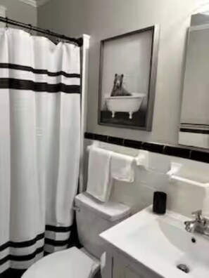 Hair dryer, towels, soap, shampoo