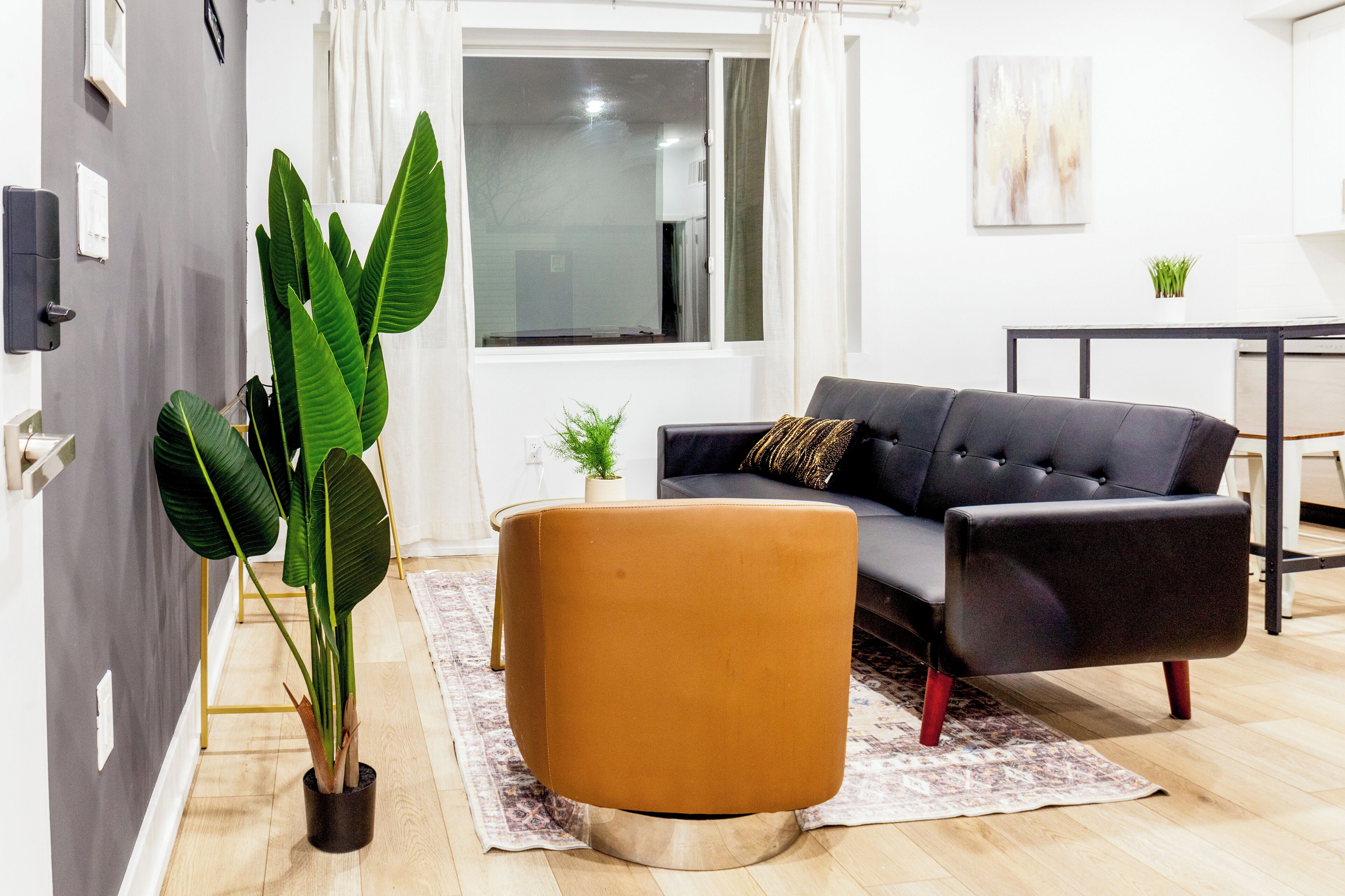 智能电视、办公室