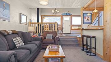 TV, fireplace, books