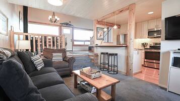 TV, fireplace, books