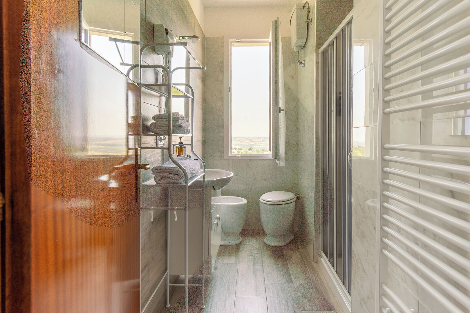 Shower, hair dryer, bidet, towels