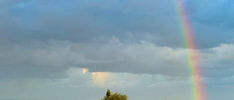 Chaises longues, serviettes de plage