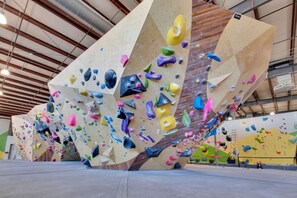 An indoor climbing facility with multiple climbing walls featuring various holds and routes. - Bright, Spacious 1BD Apt Close to DT GVL (Greenville)