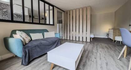 Apartment in Grenoble's Historic Center