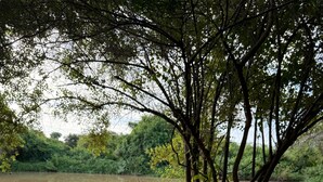Ein Picknicktisch mit Essen und Blick auf einen Fluss.