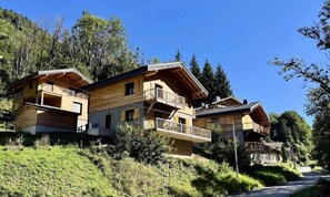 Exterior - Chalet D'ardent - 8/10 People - Montriond (Montriond)