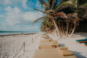 Uma praia com cadeiras de praia e palmeiras.