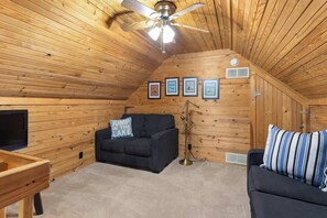 TV, fireplace, books