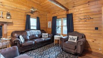 TV, fireplace, books