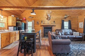 Tv, eldstad och böcker