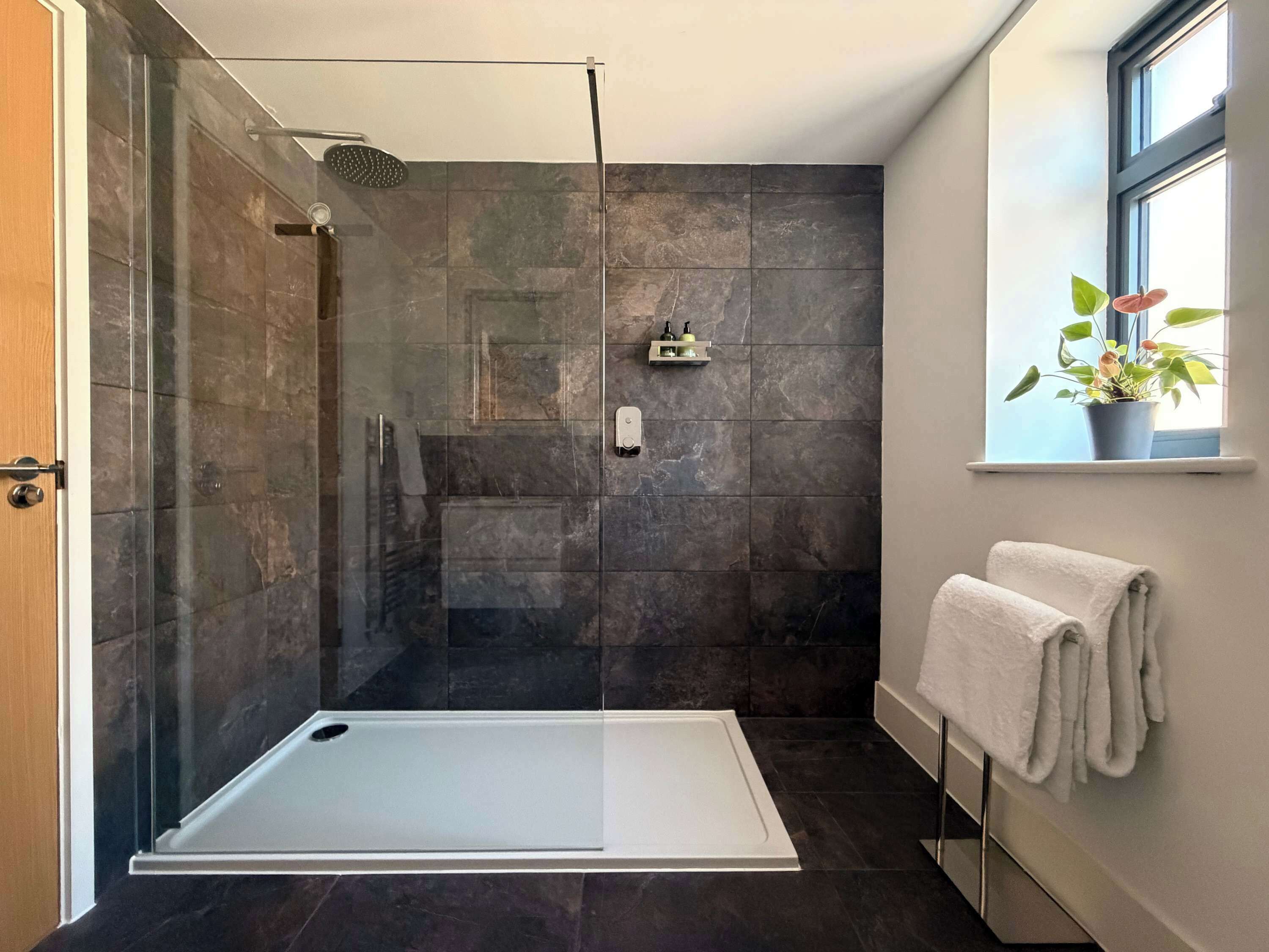 Shower, hair dryer, towels, shampoo