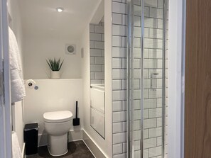 Dusche, Haartrockner, Handtücher, Shampoo