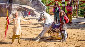 Unclassified image, 3 of 3, button - Villa in Dordogne With Private Pool (Lanzac)