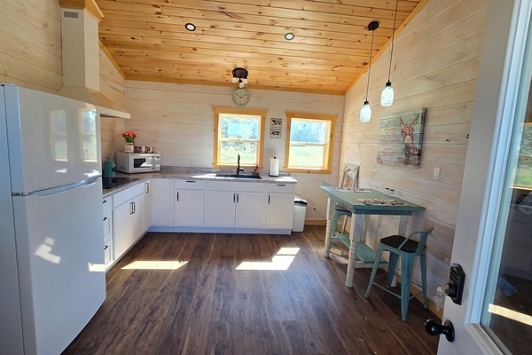 Microondas y placa de cocina