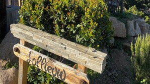 A wooden bench with a sign reading "Lollipop" in a garden area with a view of a lake and mountains. - DOMAINE DE SONIA (Porto-Vecchio)
