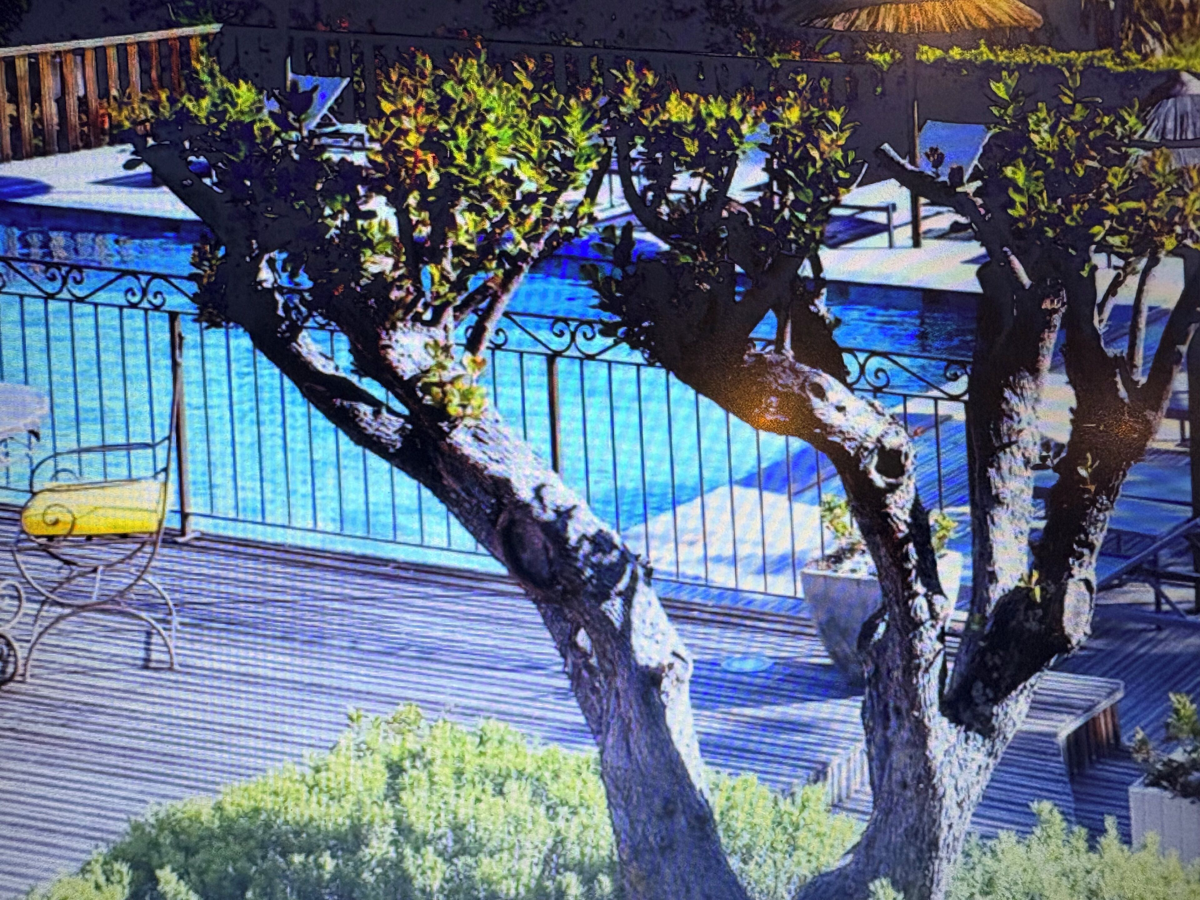 Sæsonbestemt udendørs pool, åben fra kl. 08.30 til kl. 19.30, parasoller