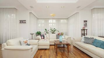 TV, fireplace, offices