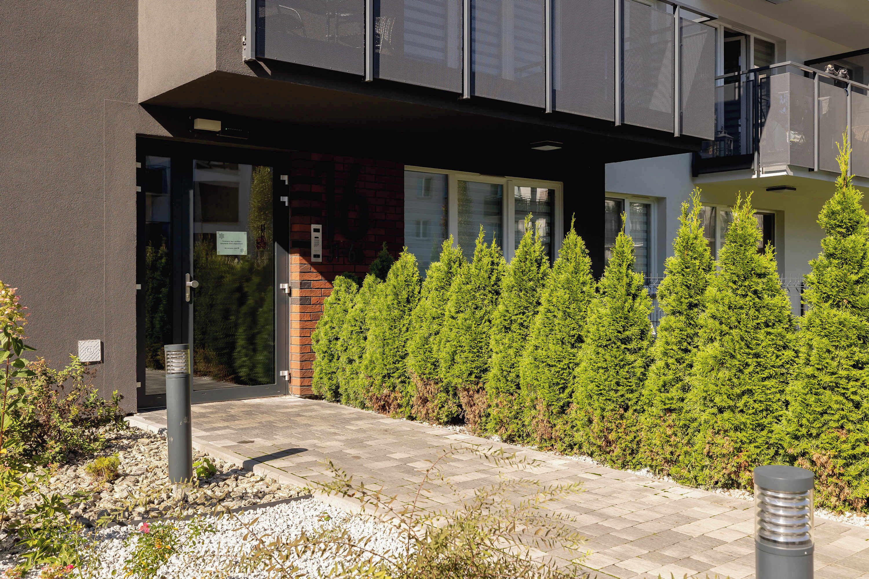 Una entrada moderna a un edificio con un camino pavimentado, un bolardo de metal y una fila de árboles perennes.