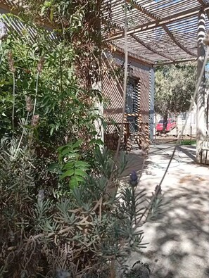 المنطقة المحيطة بالمنشأة