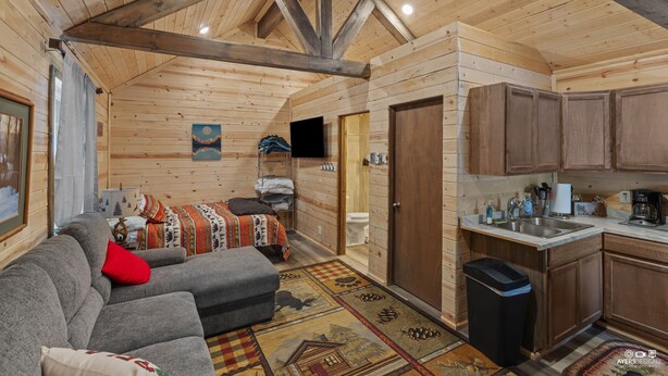 Acogedor interior de cabaña con sala de estar, kitchenette y baño.