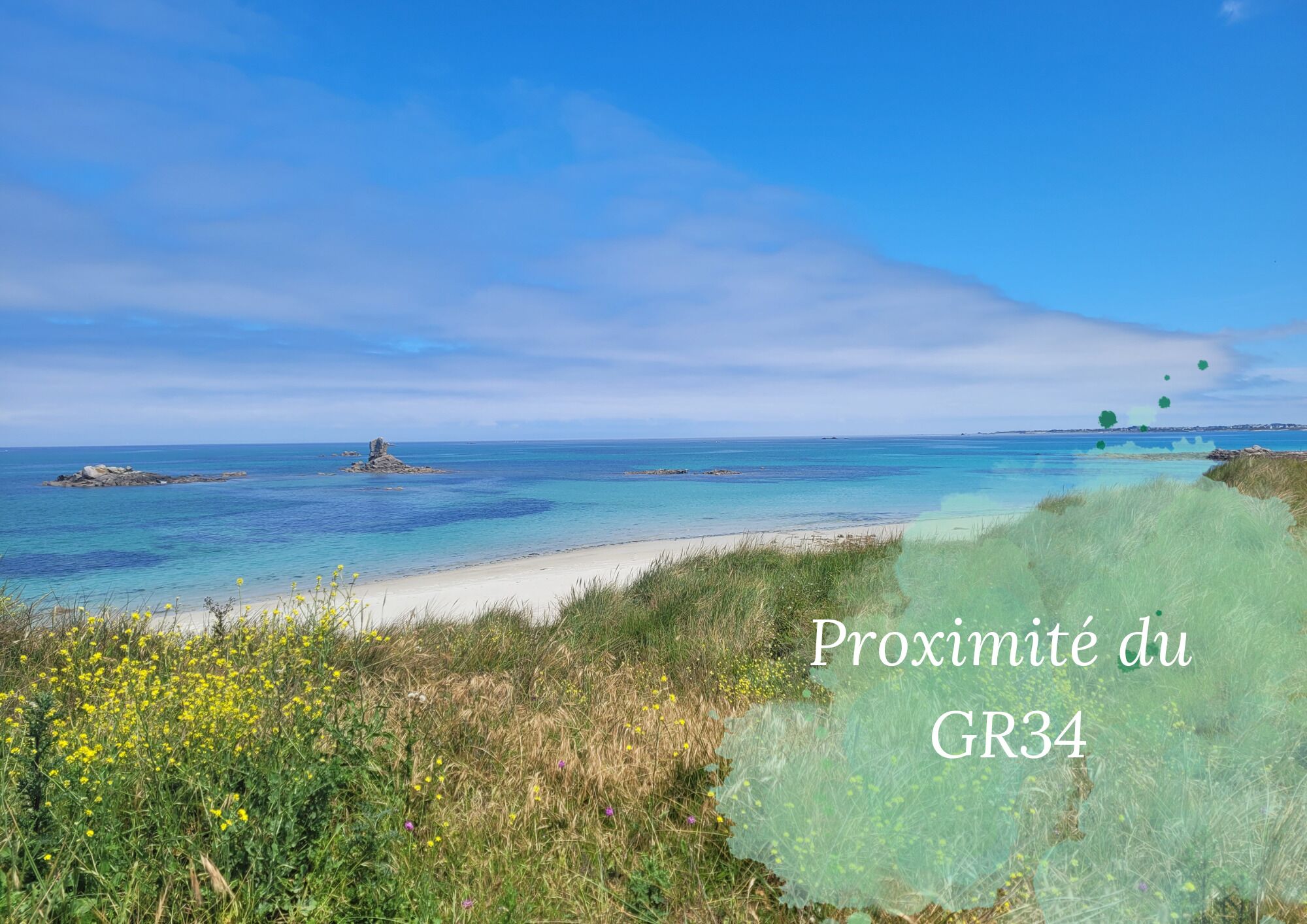 Plage, chaises longues