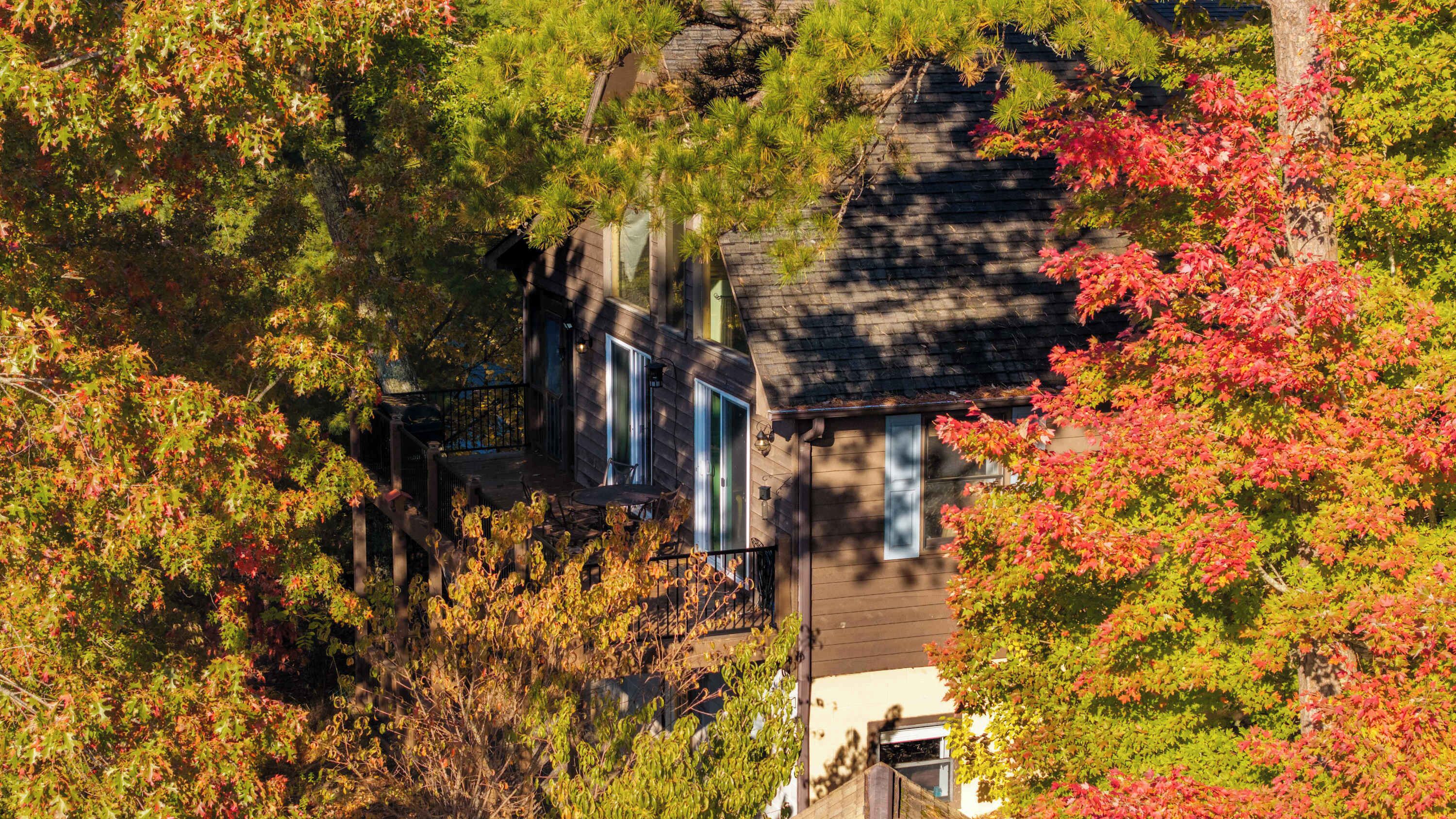 A house surrounded by autumn foliage, with a visible deck and windows.