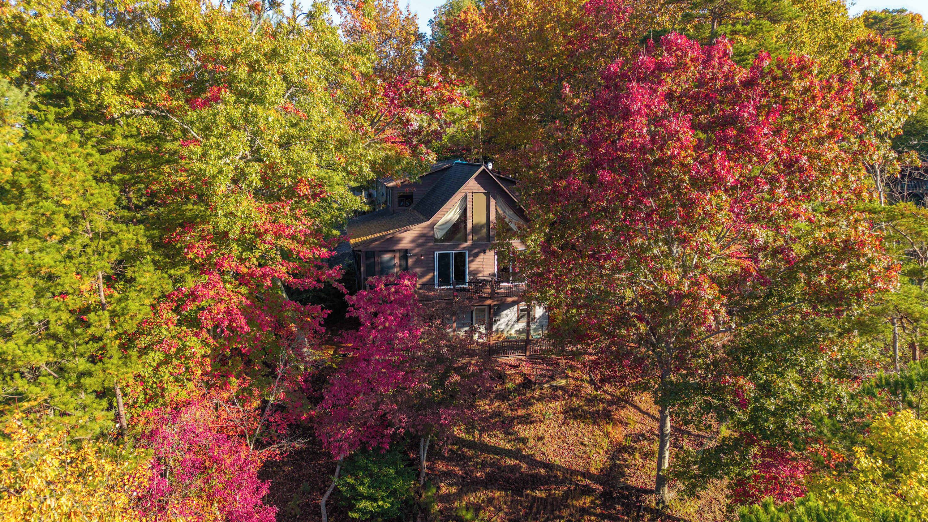 A house surrounded by trees with autumn foliage.