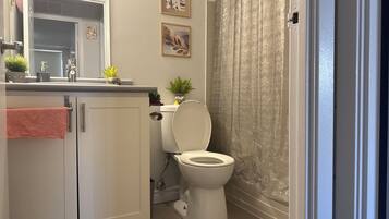 Hair dryer, towels, soap, toilet paper