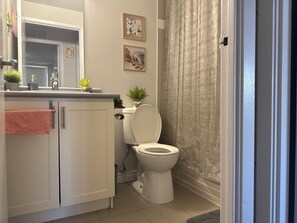 Hair dryer, towels, soap, toilet paper