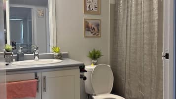 Haartrockner, Handtücher, Seife, Toilettenpapier