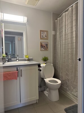 Secador de cabelo, toalhas de banho, sabonete, papel higiênico