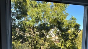 A room with a large window overlooking a tree-lined area.