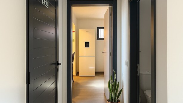 Un pasillo con una puerta oscura, una pared de color claro y una planta en maceta.