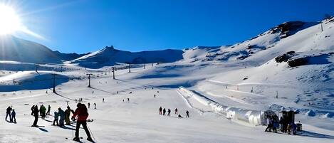 Sneeuw- en skisporten