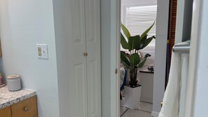 Ein Flur mit einer weißen Tür, einer Arbeitsplatte mit einem Behälter und einem Blumentopf.