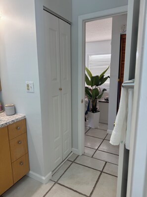 Un pasillo con una puerta blanca, una encimera con un recipiente y una planta en maceta.