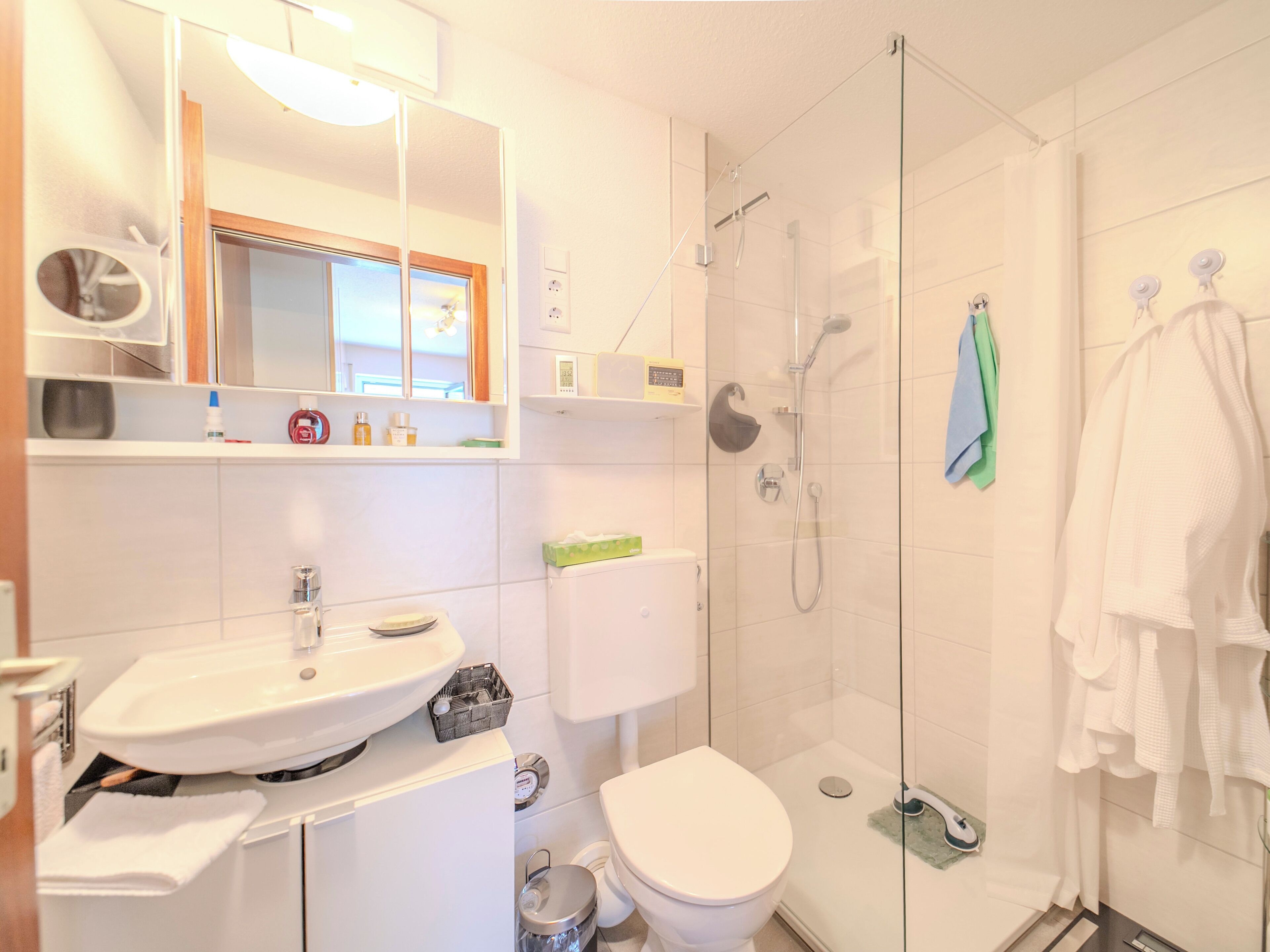 Haartrockner, Handtücher, Toilettenpapier