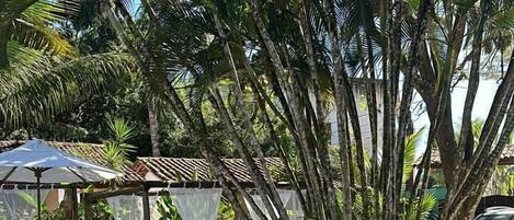 Outdoor pool, pool umbrellas, pool loungers