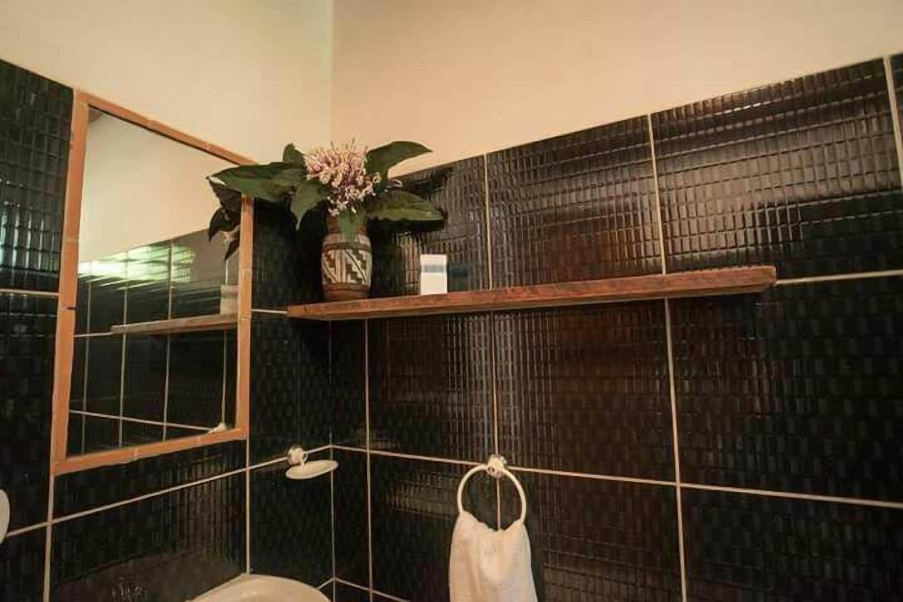 Towels, soap, shampoo, toilet paper