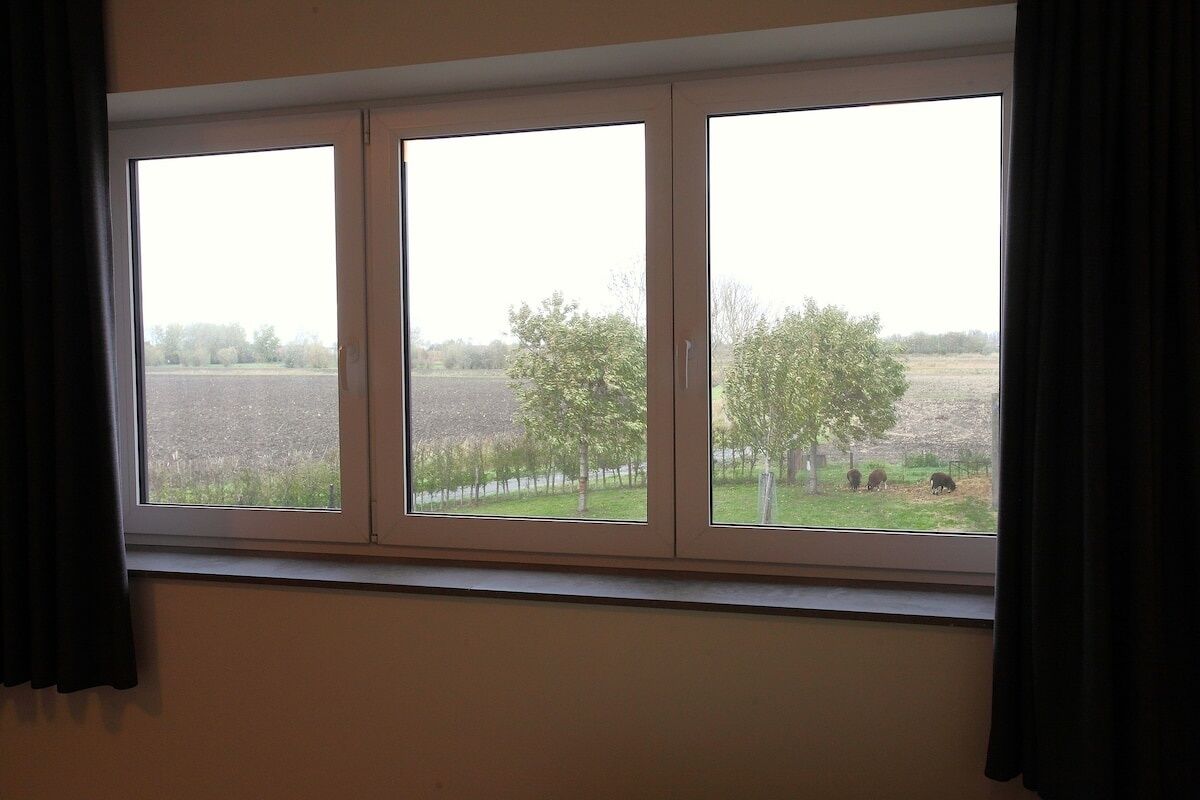 A window with three panes, offering a view of a rural landscape with trees and fields.