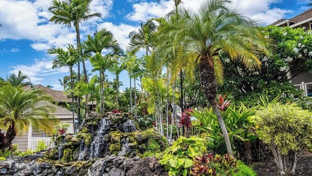 Um jardim tropical com uma cascata, palmeiras e uma variedade de vegetação exuberante.