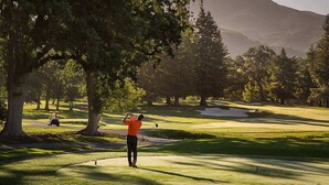 Un campo de golf con árboles y un camino despejado.