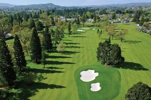 Golf - Charming Napa Retreat Walk to Wineries & Dining (Napa)