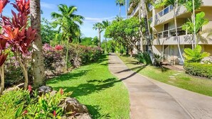 A hotel corridor with a concrete pathway flanked by lush greenery and palm trees. - Beachfront Studio | Walk to Kamaole Beach + Pools (Kihei)