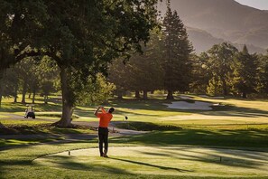 Golf - Elegant Napa Escape Walk to Wineries & Dining (Napa)