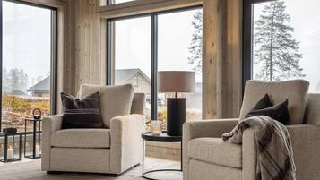 Televisión, chimenea, oficina