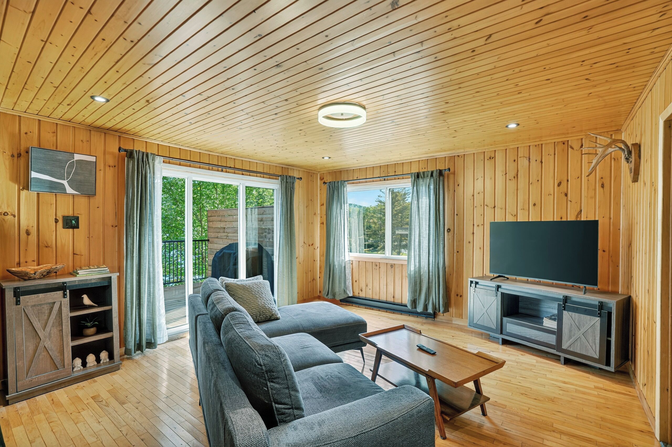 Una Smart TV, un reproductor de DVD, libros